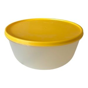 Tupperware Bowl Food Storage